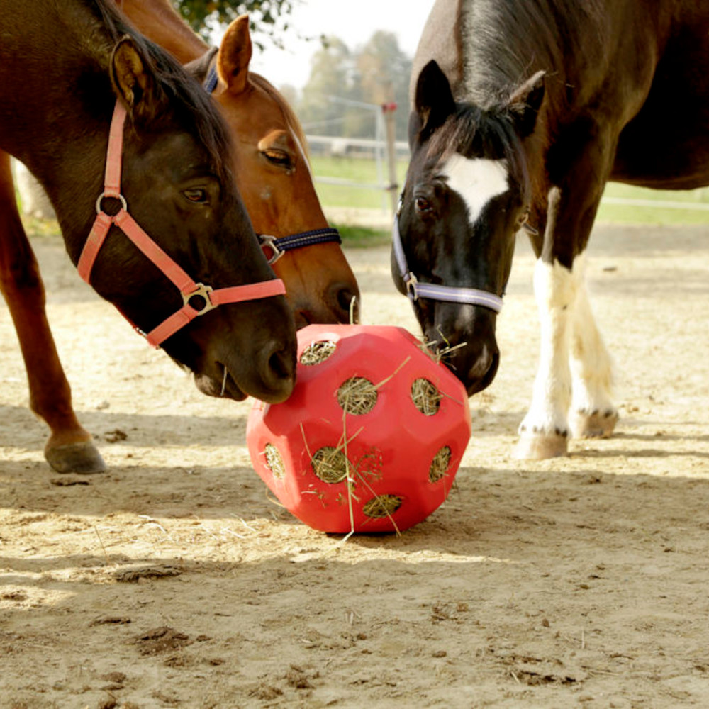 KERBL Futterspielball, Fressöffnung Ø 60 mm