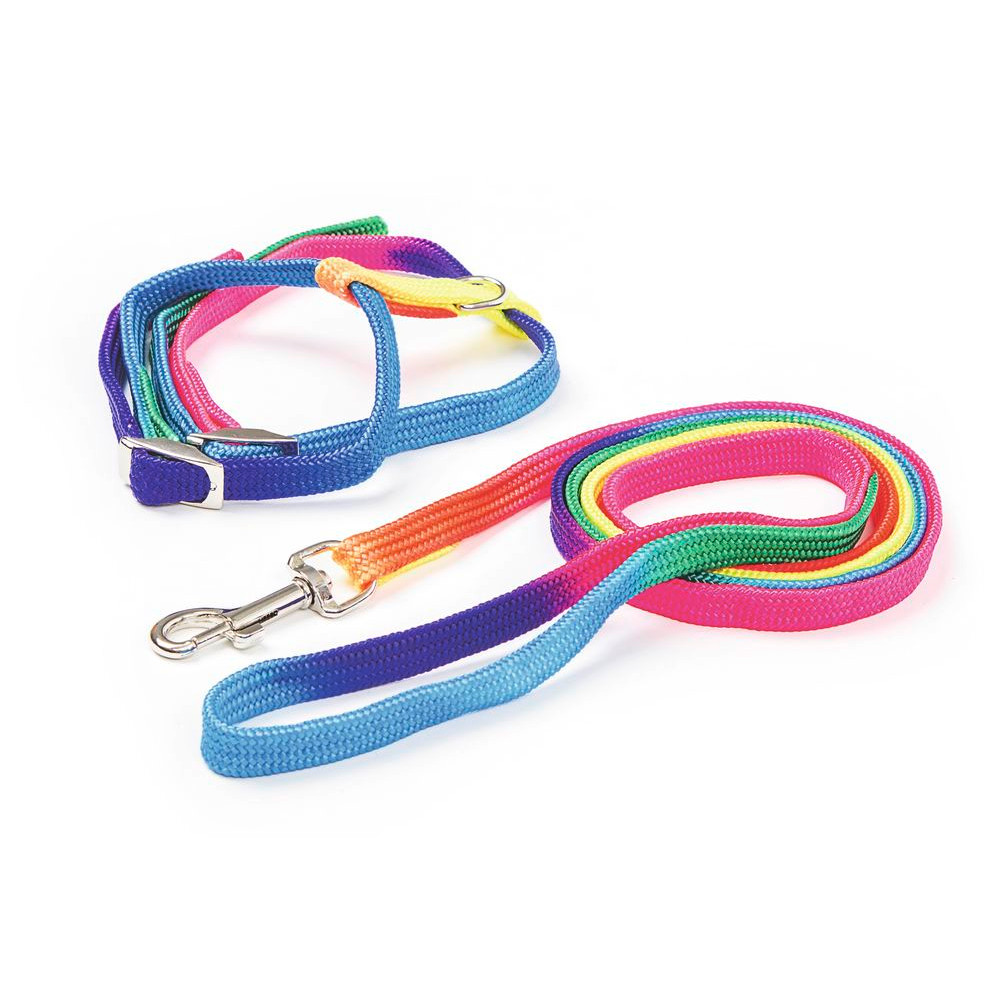 Katzengeschirr Rainbow