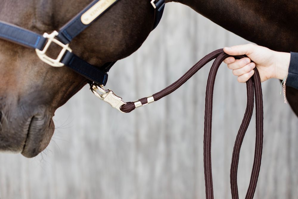 KENTUCKY® HORSEWEAR Führstrick Basic, Panikhaken 