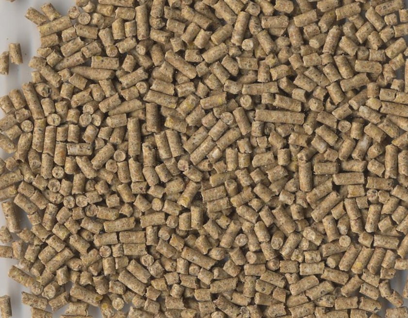 HAVENS START & GROW 3-mm Spezialpellet