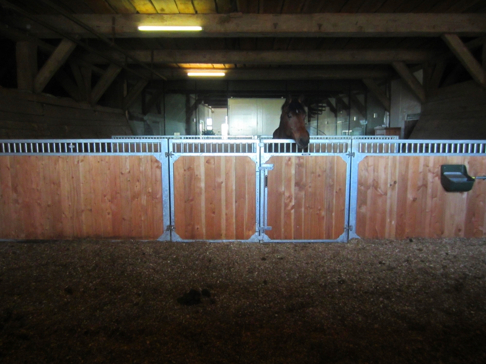 GROWI® Pferdeboxenfront Cintaro