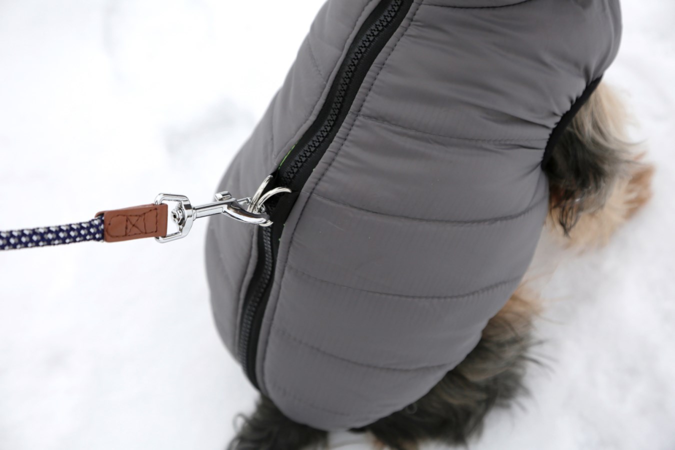 Grauer Kerbl Steppmantel Charmonix für Hunde. Detailaufnahme des Reißverschlusses am Rücken mit befestigter Leine.