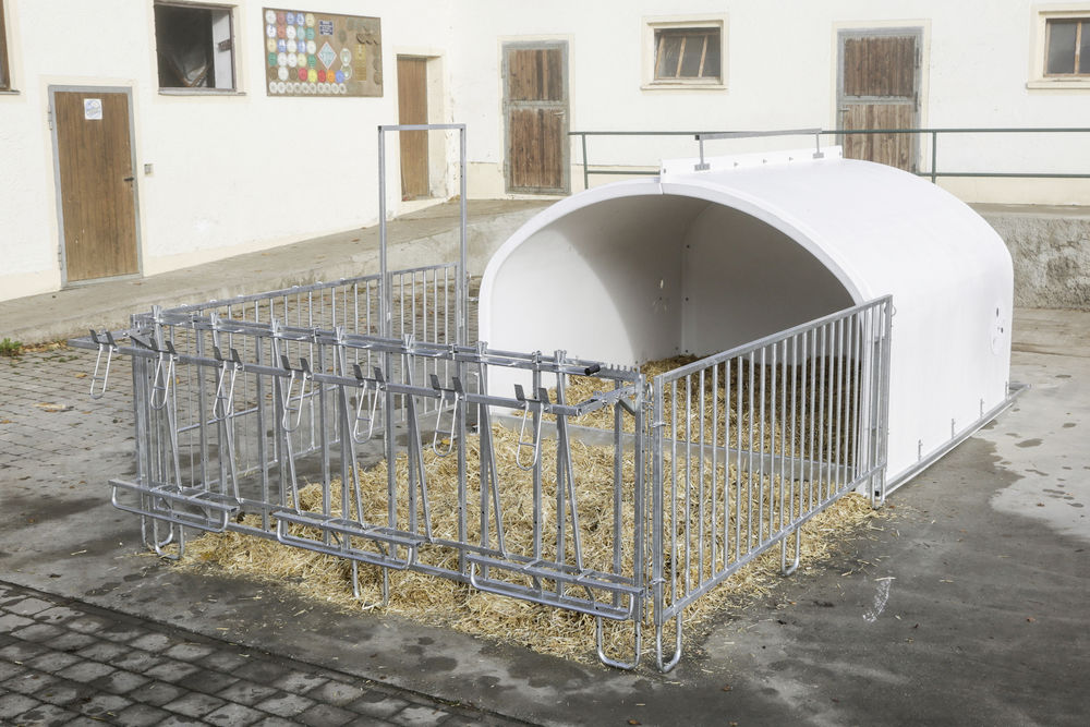 KERBL Kälberiglu Premium XXL