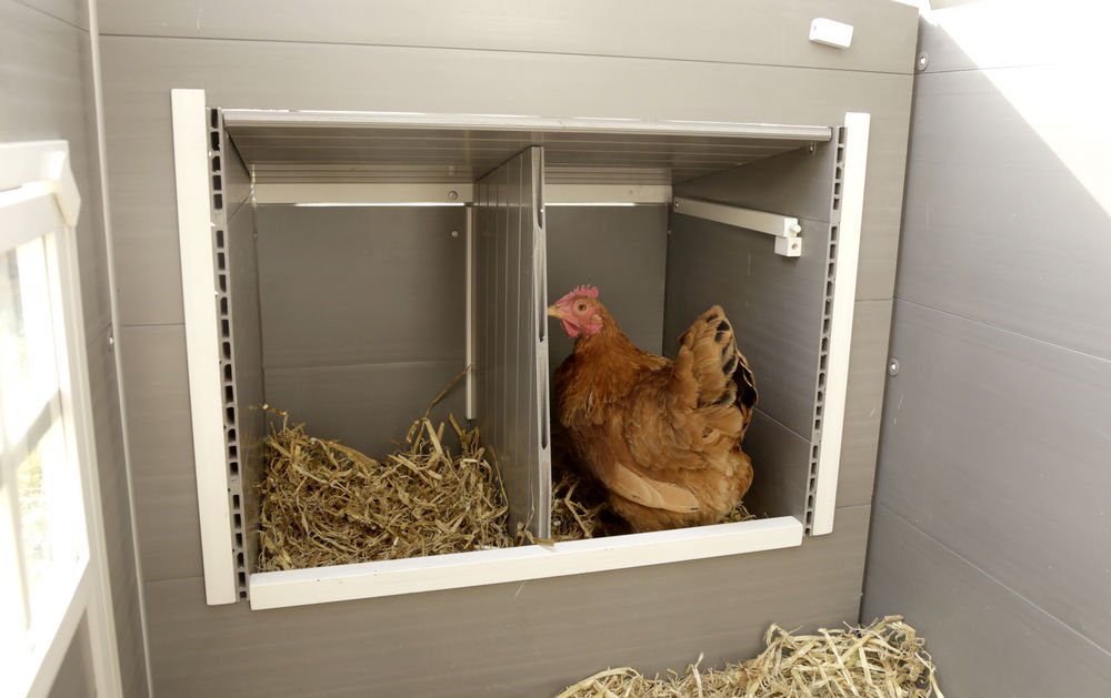 KERBL ECO-Kunststoffstall Barney