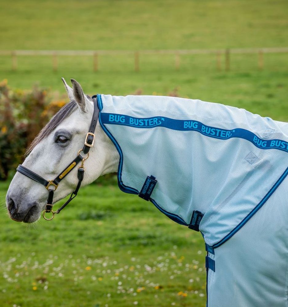 HORSEWARE® Fliegendecke Amigo® Bug Buster Plus, azure blue/navy & electric blue