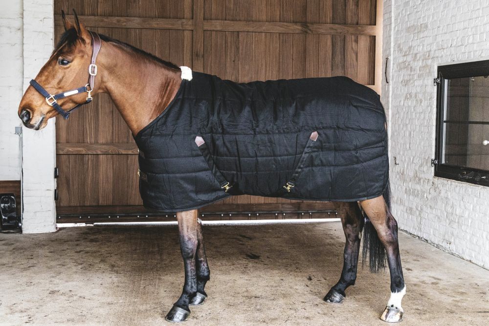 KENTUCKY® HORSEWEAR Stalldecke Classic 100 g, schwarz
