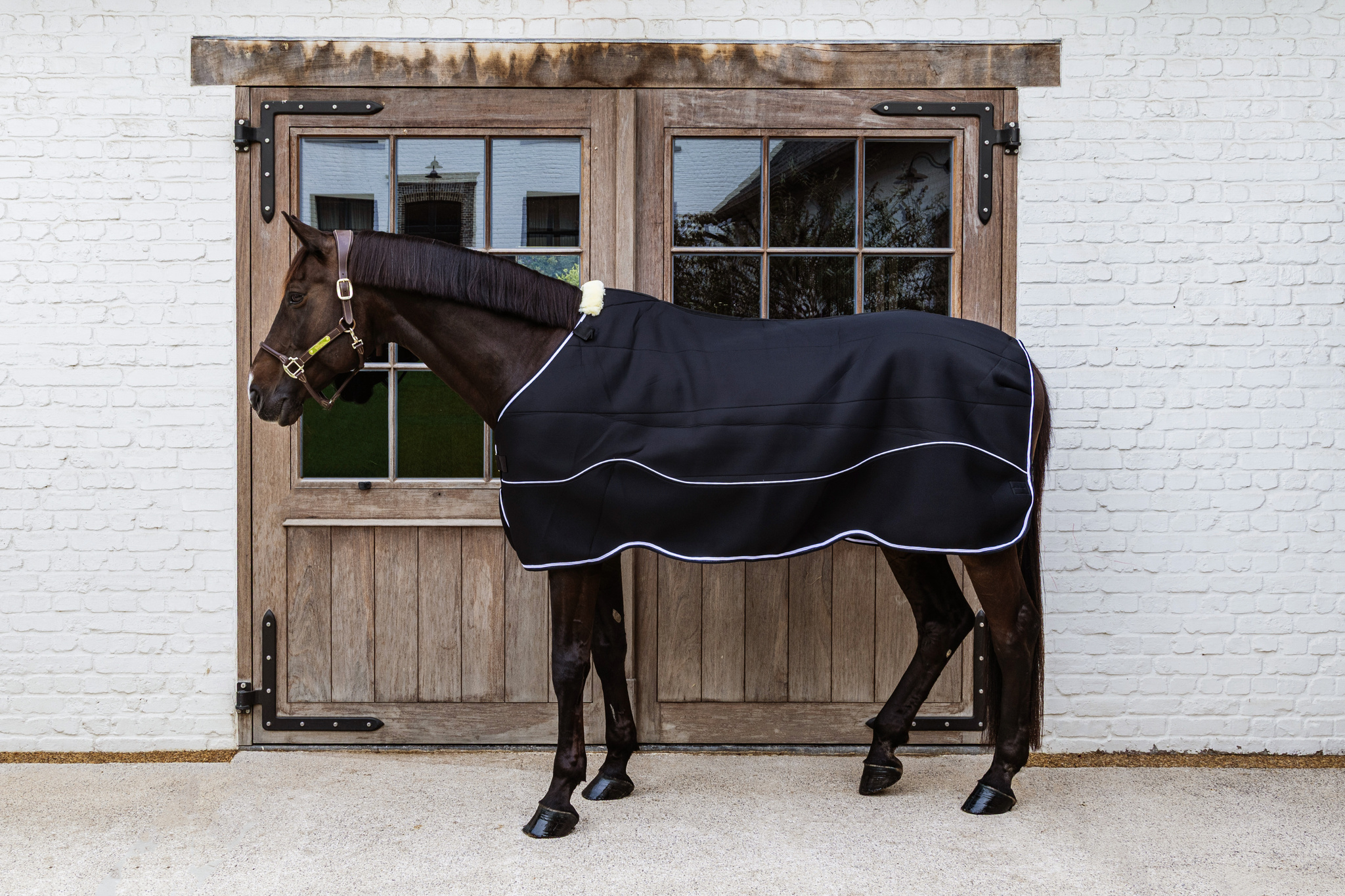 KENTUCKY® HORSEWEAR Turnout Rug Comfort 3D Fleece Liner, schwarz Schwarzer Turnout Rug Comfort 3D Fleece Liner am Pferd, Seitenansicht mit weißer Biese und Widerristpolster.