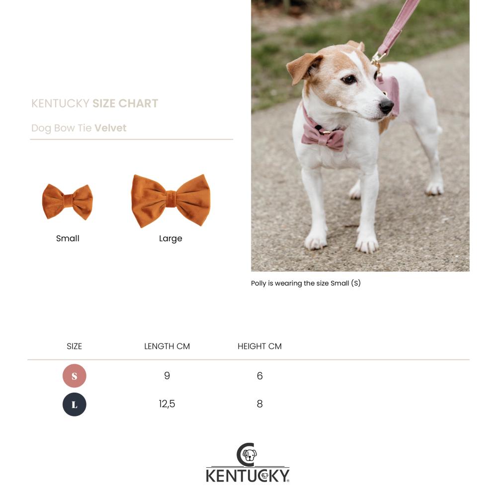 KENTUCKY® DOGWEAR Samtfliege, smaragdgrün