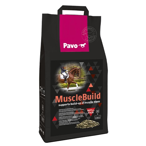 PAVO MuscleBuild Nachfüller