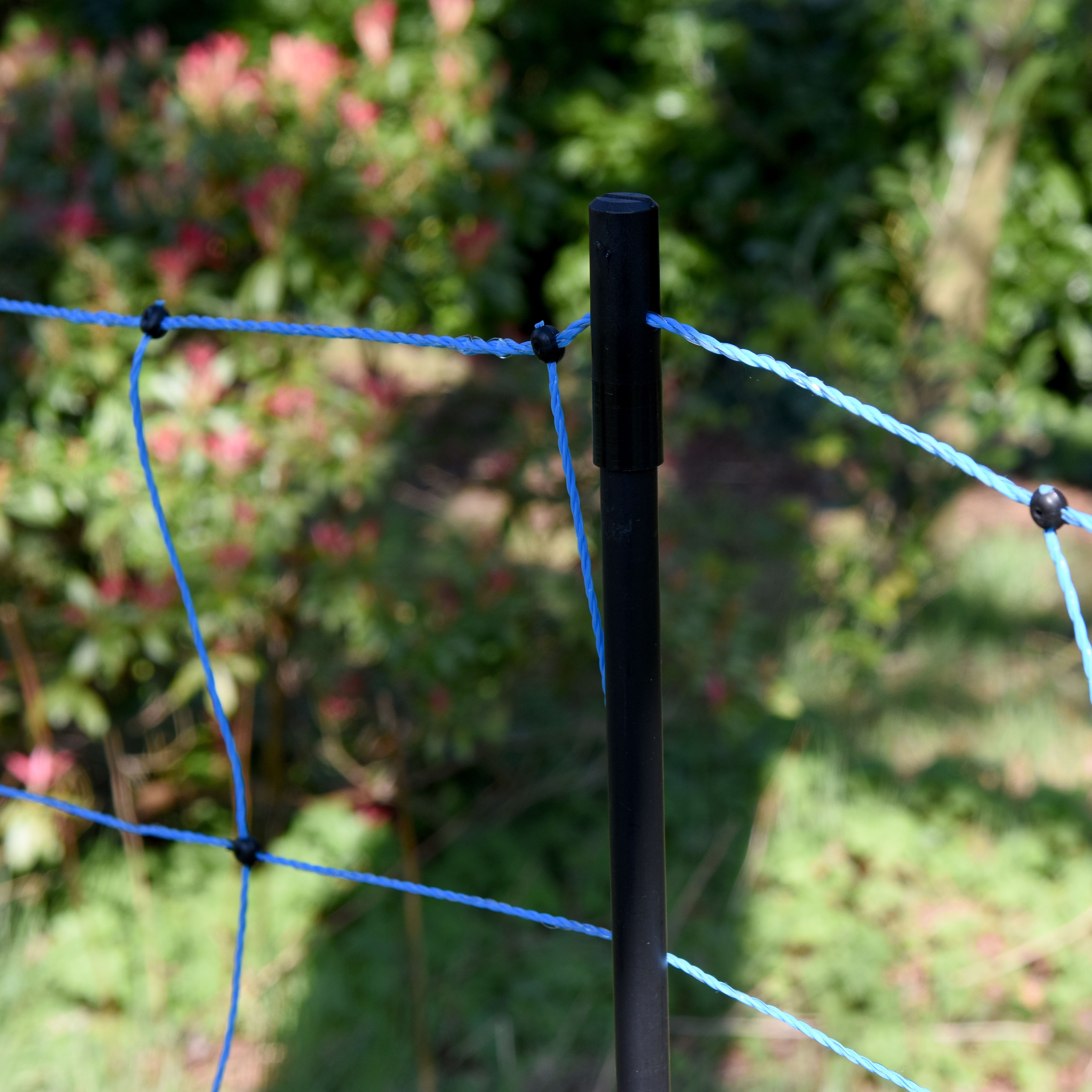 GALLAGHER Wolfsnetz, blau, 120 cm, 50 m