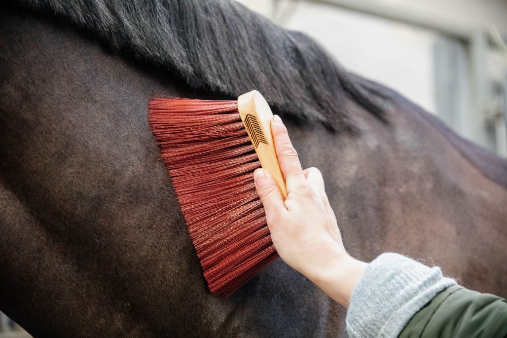 KENTUCKY® GROOMING DELUXE Middle Brush Long, braun