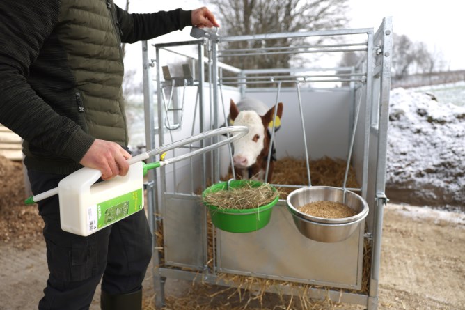 KERBL Kälberbox Premium mit schwenkbarem Boden