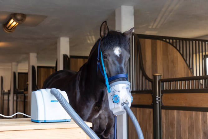 HIPPOMED AirOne Ultraschall-Inhalator für Pferde
