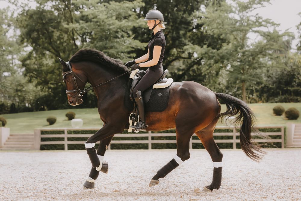 KENTUCKY® HORSEWEAR Bandagierunterlagen Absorb 4er-Set, 45 x 40 cm, weiß/schwarz