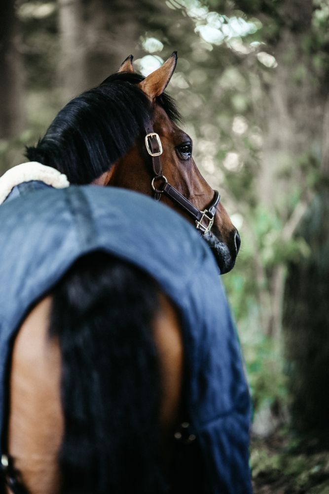 KENTUCKY® HORSEWEAR Stalldecke 0 g, marine