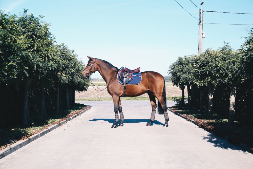 KENTUCKY® HORSEWEAR Geländegamaschen Air Tech vorne, braun