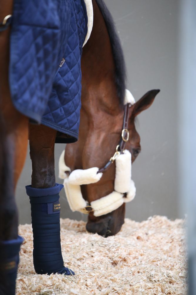 KENTUCKY® HORSEWEAR Stall-Bandagen Unterlagen, 4er-Set, marine