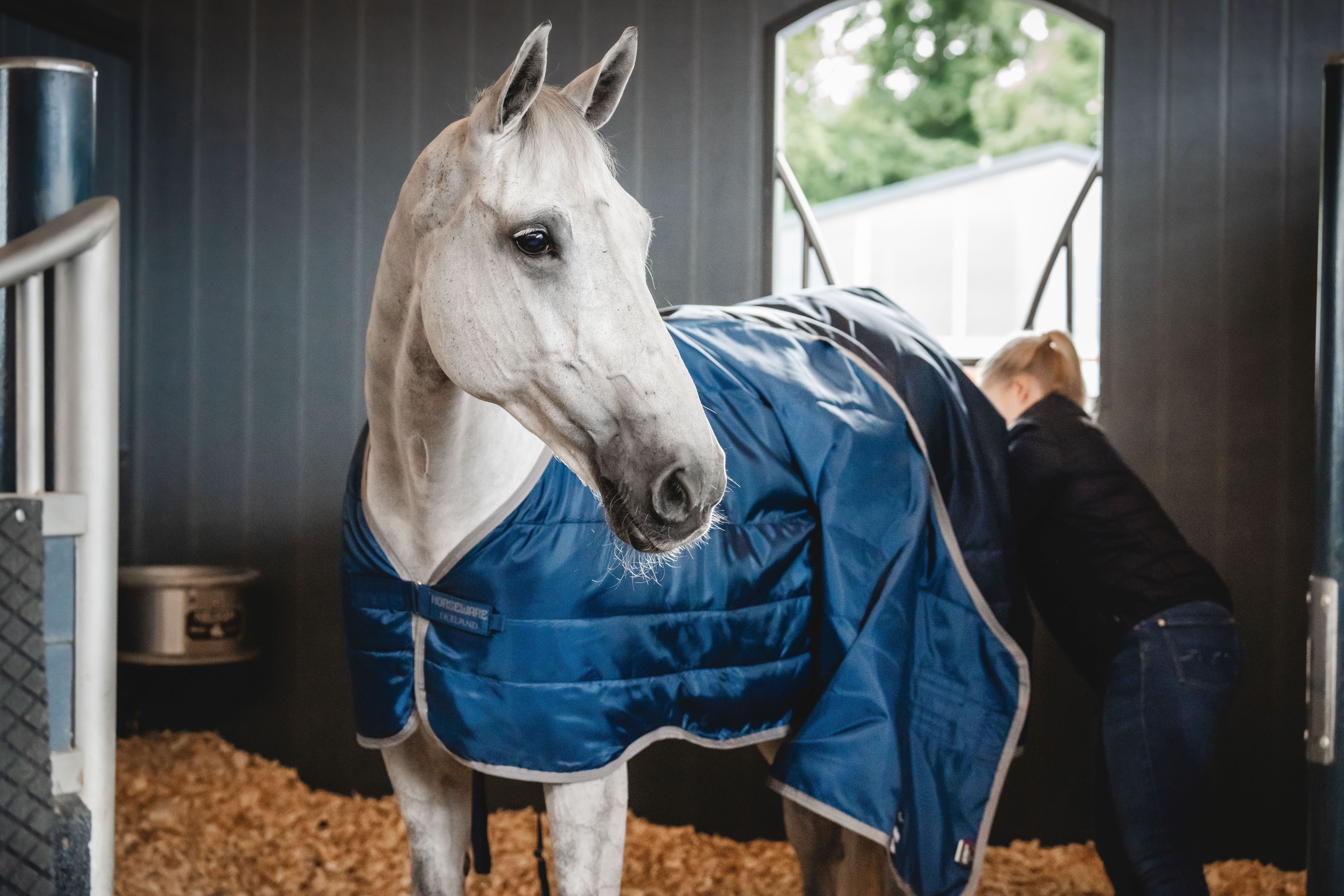 HORSEWARE® Ionic® Therapy Liner, 50 g, imperial blue/silver