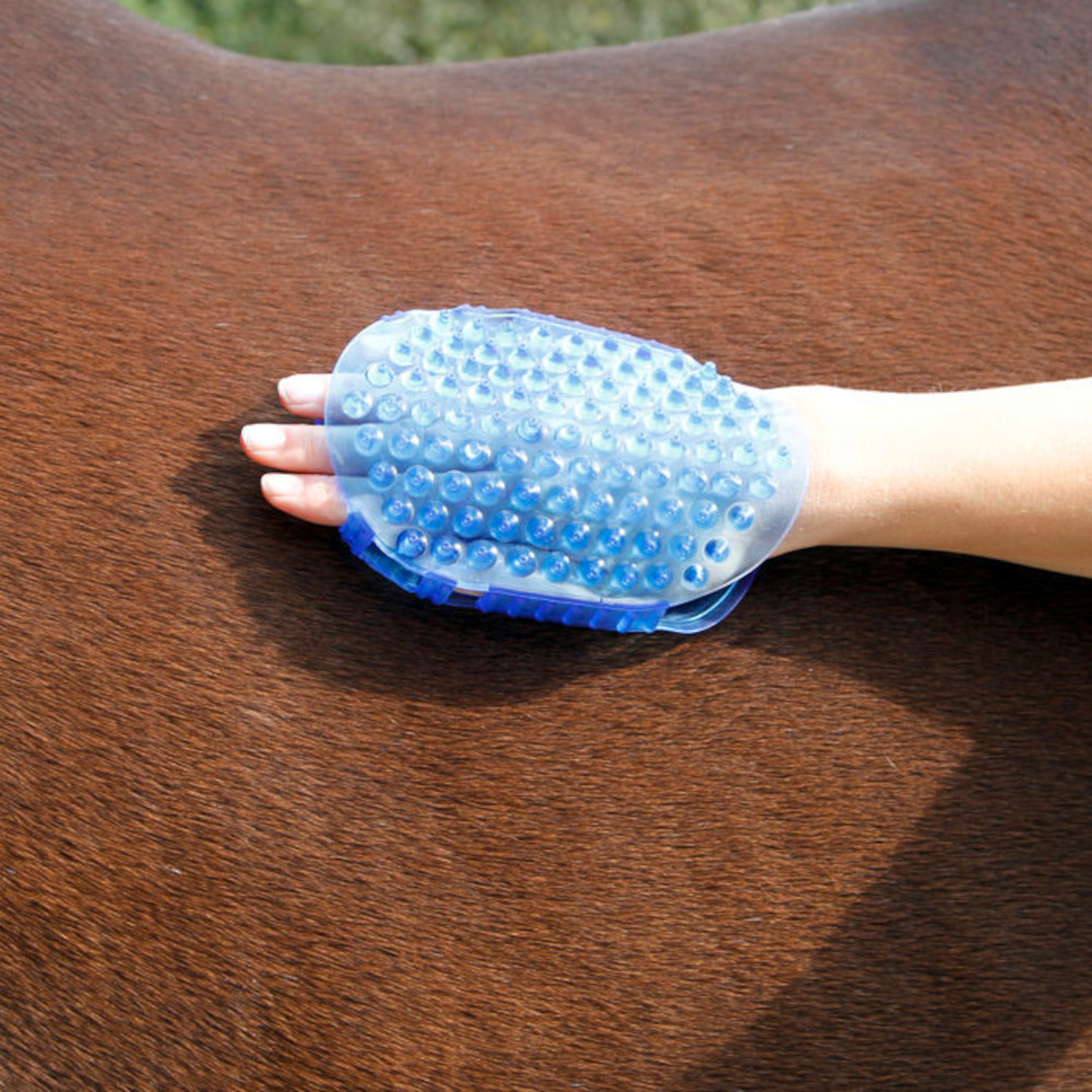 Magnet-Massage-Striegel