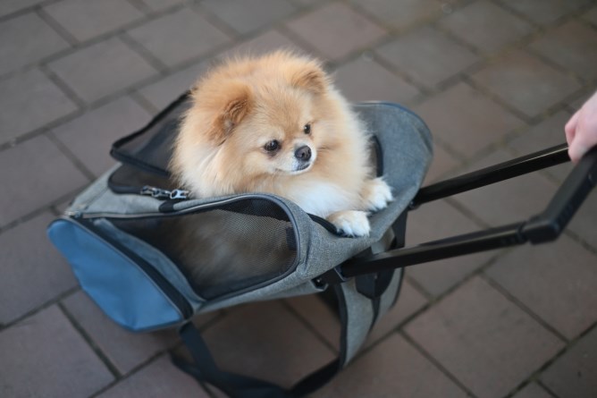 KERBL Trolley Vacation