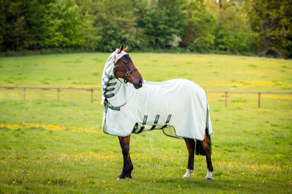 HORSEWARE® Fliegendecke Rambo® Hoody, green/silver
