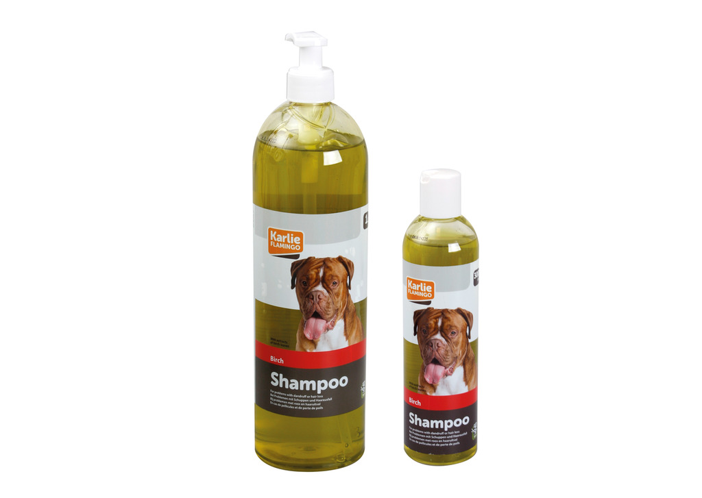 Birken-Shampoo