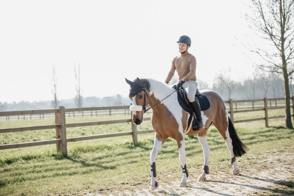 KENTUCKY® HORSEWEAR Schaffell-Nasenriemenschoner, natur