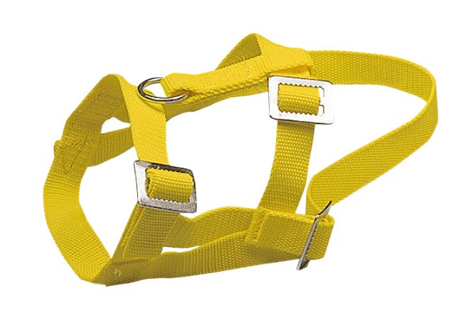 KERBL Kopfhalfter für Schafe und Böcke, Nylon