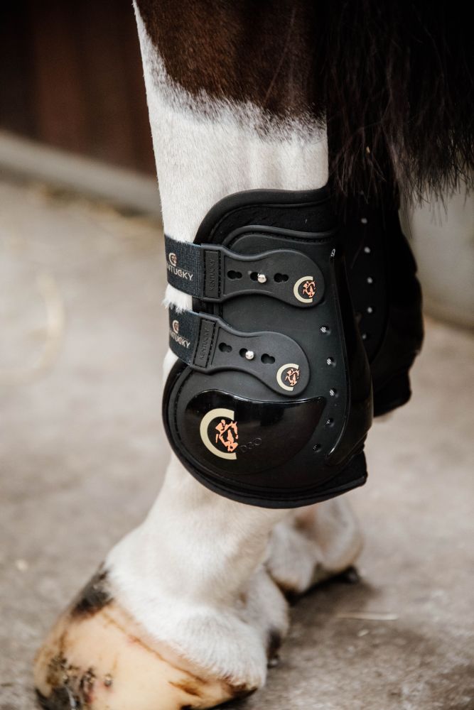 KENTUCKY® HORSEWEAR Streichkappe Moonboots Max elastic, schwarz