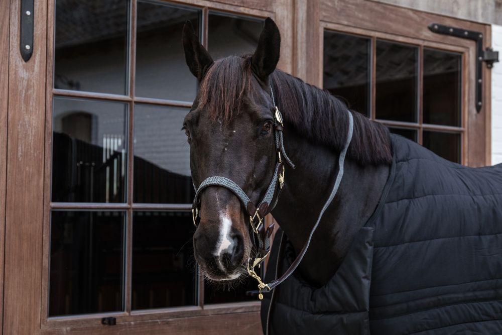 KENTUCKY® HORSEWEAR geflochtenes Nylon Halfter, grau
