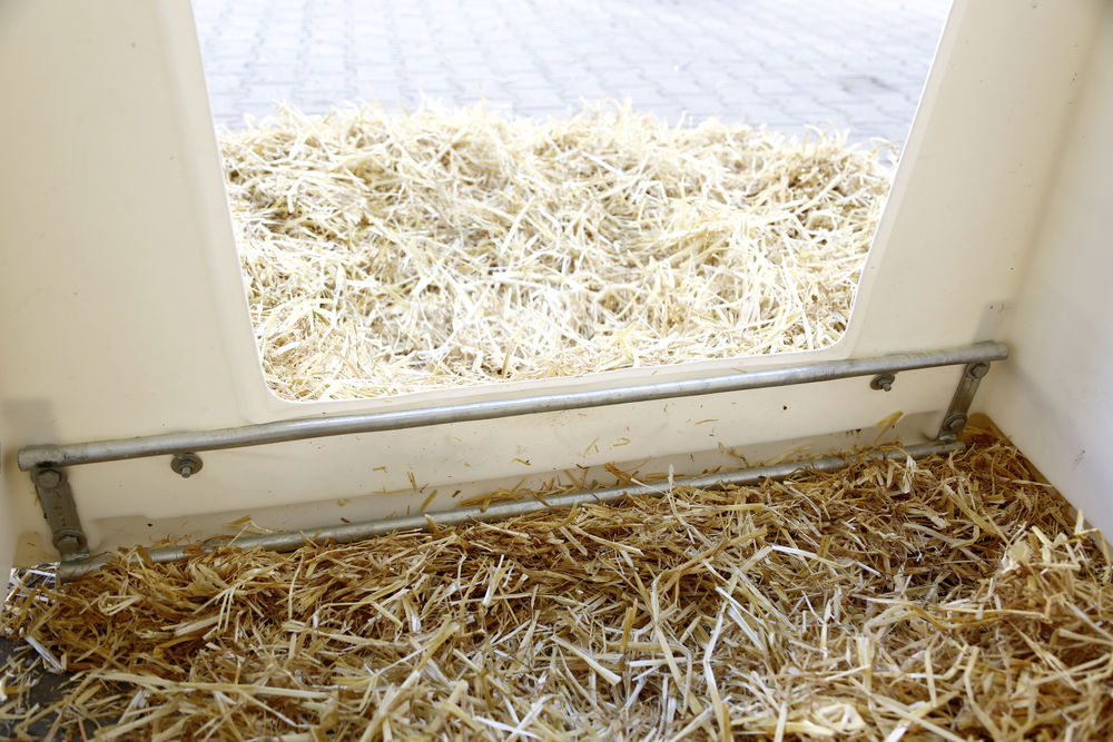 KERBL Kälberiglu CalfHouse PE UV+