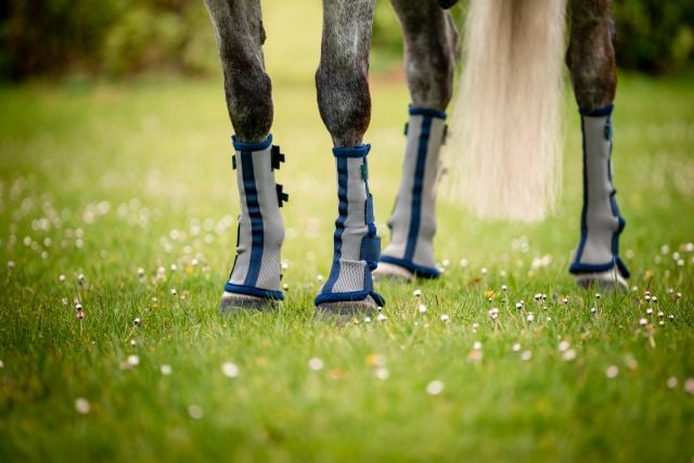 Horseware Fliegengamaschen in Silber und Navy an allen vier Pferdebeinen, Nahaufnahme auf einer grünen Wiese.