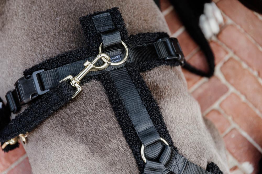 KENTUCKY® DOGWEAR Hundegeschirr Aktiv aus Teddyfleece, schwarz
