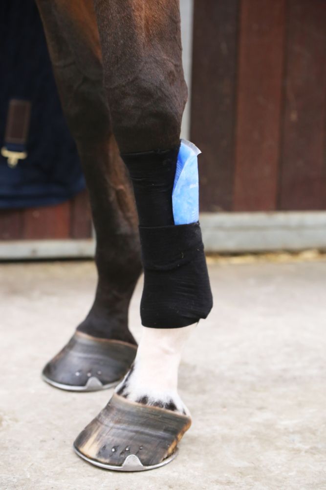 KENTUCKY® HORSEWEAR Tenton Grip Bandagenstrumpf, schwarz