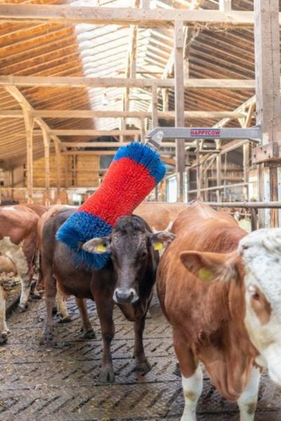 HAPPYCOW Viehbürste Free Maxi