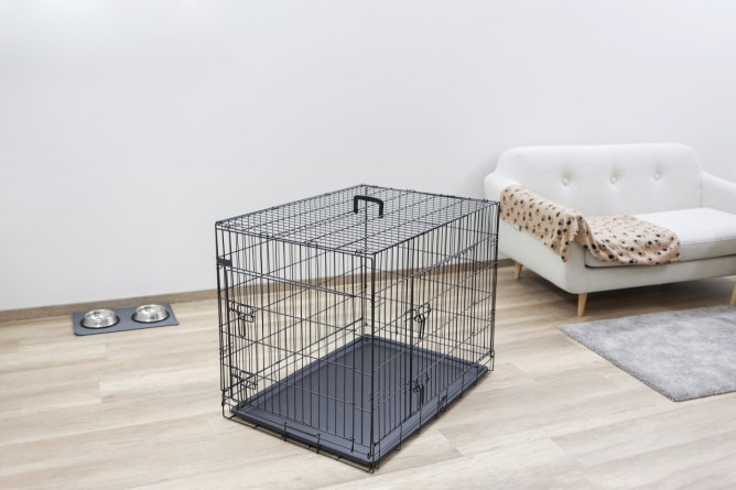 KERBL Gittertransportbox, klappbar, schwarz, 2 Türen