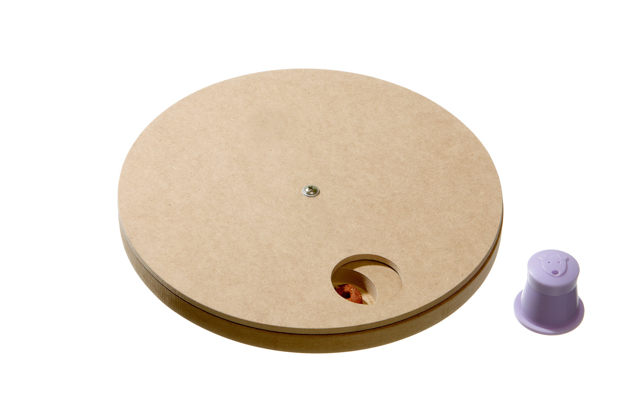 Brain Train Discus