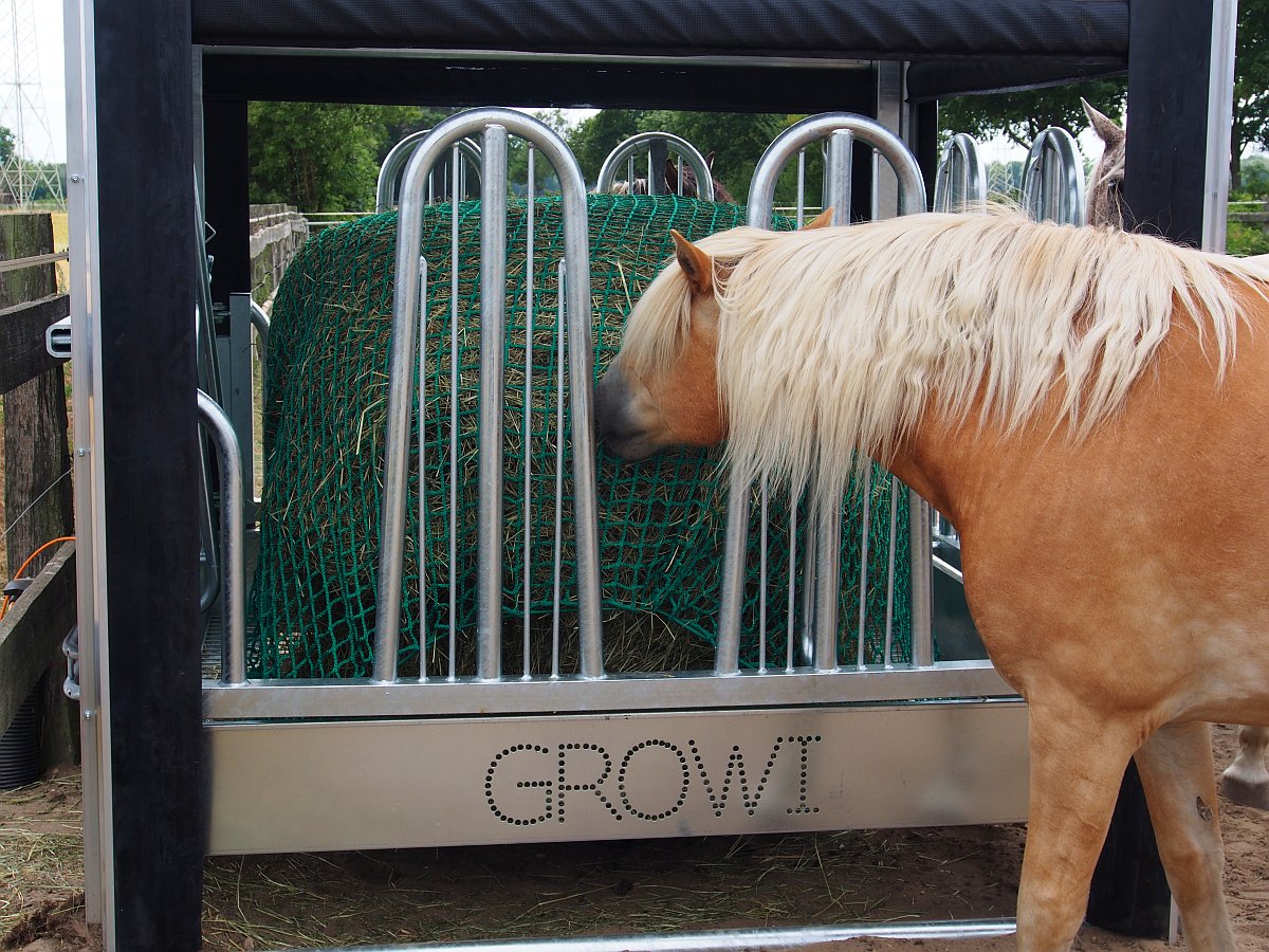 Zeitgesteuerte Heuraufe von Growi mit Pferd