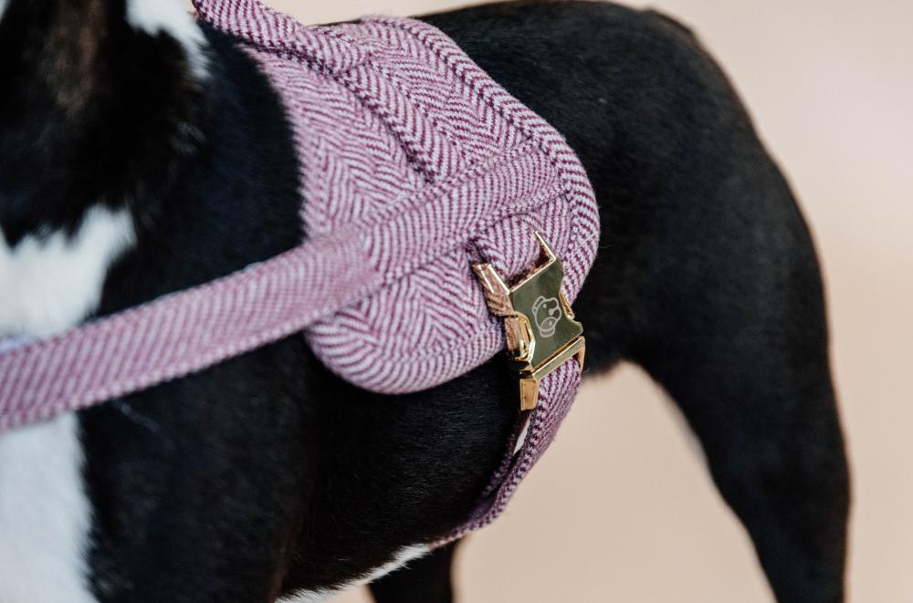 KENTUCKY® DOGWEAR Hundegeschirr Body Safe Wolle, altrosa