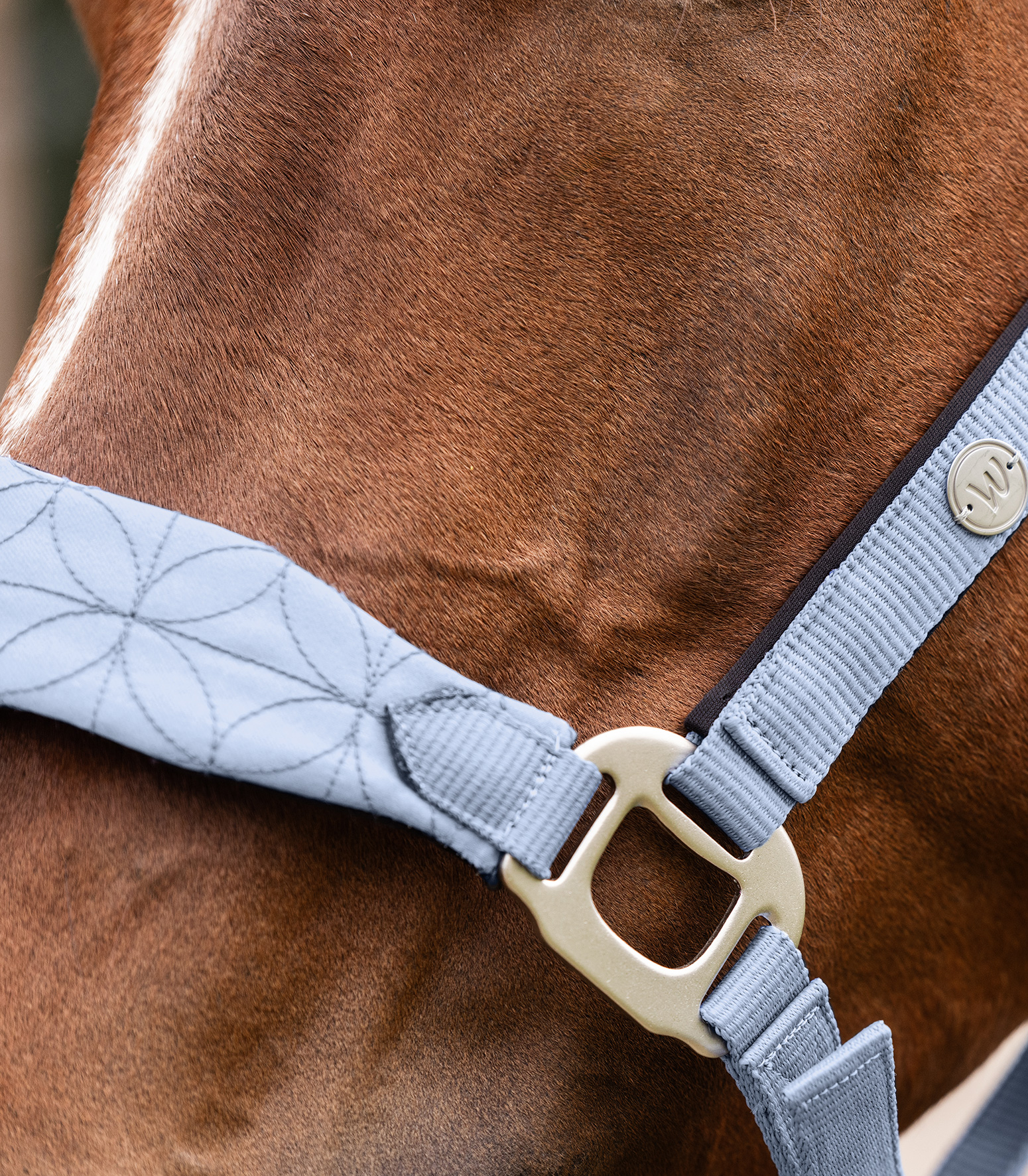WALDHAUSEN Halfter Rom, pastellblau
