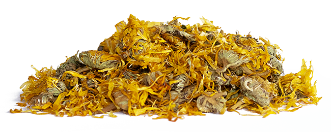 NÖSENBERGER Ringelblume mit Kelch Kaninchen