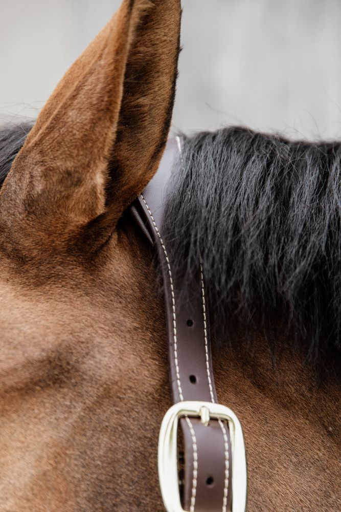 KENTUCKY® HORSEWEAR Anatomic Nylon Halfter, beige