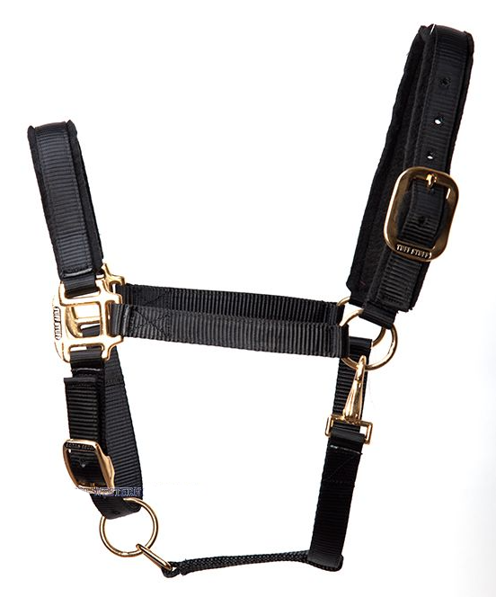 WESTERN IMPORTS® Tuff Stuff Halter, schwarz, Jährling