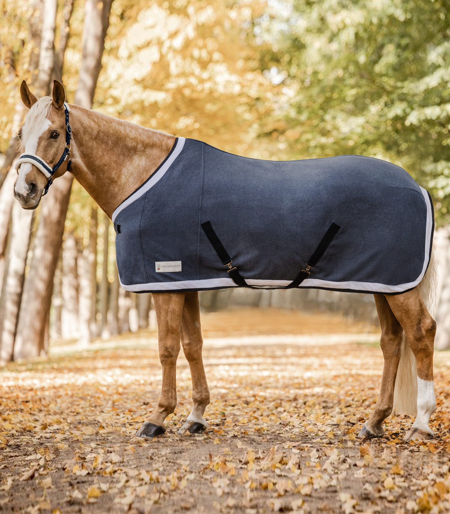 WALDHAUSEN COMFORT Fleecedecke Esperia Two