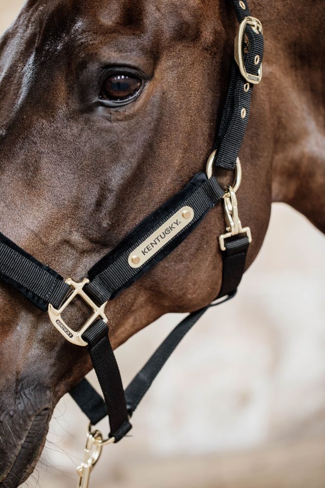KENTUCKY® HORSEWEAR Velvet Halfter, schwarz