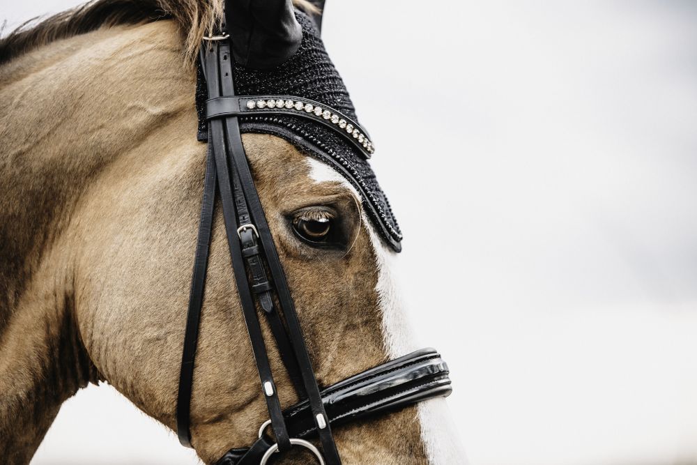 KENTUCKY® HORSEWEAR Fliegenhaube Wellington mit Glitzereinfassung, schwarz