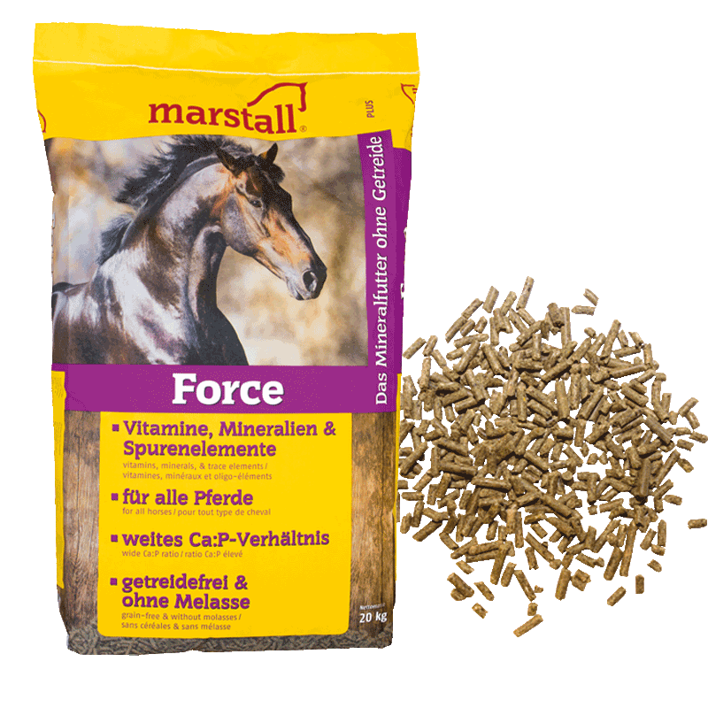 marstall Force