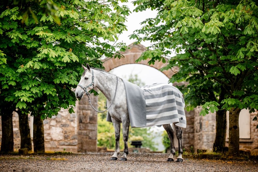 HORSEWARE® Newmarket Fleece Square, witney/charcoal