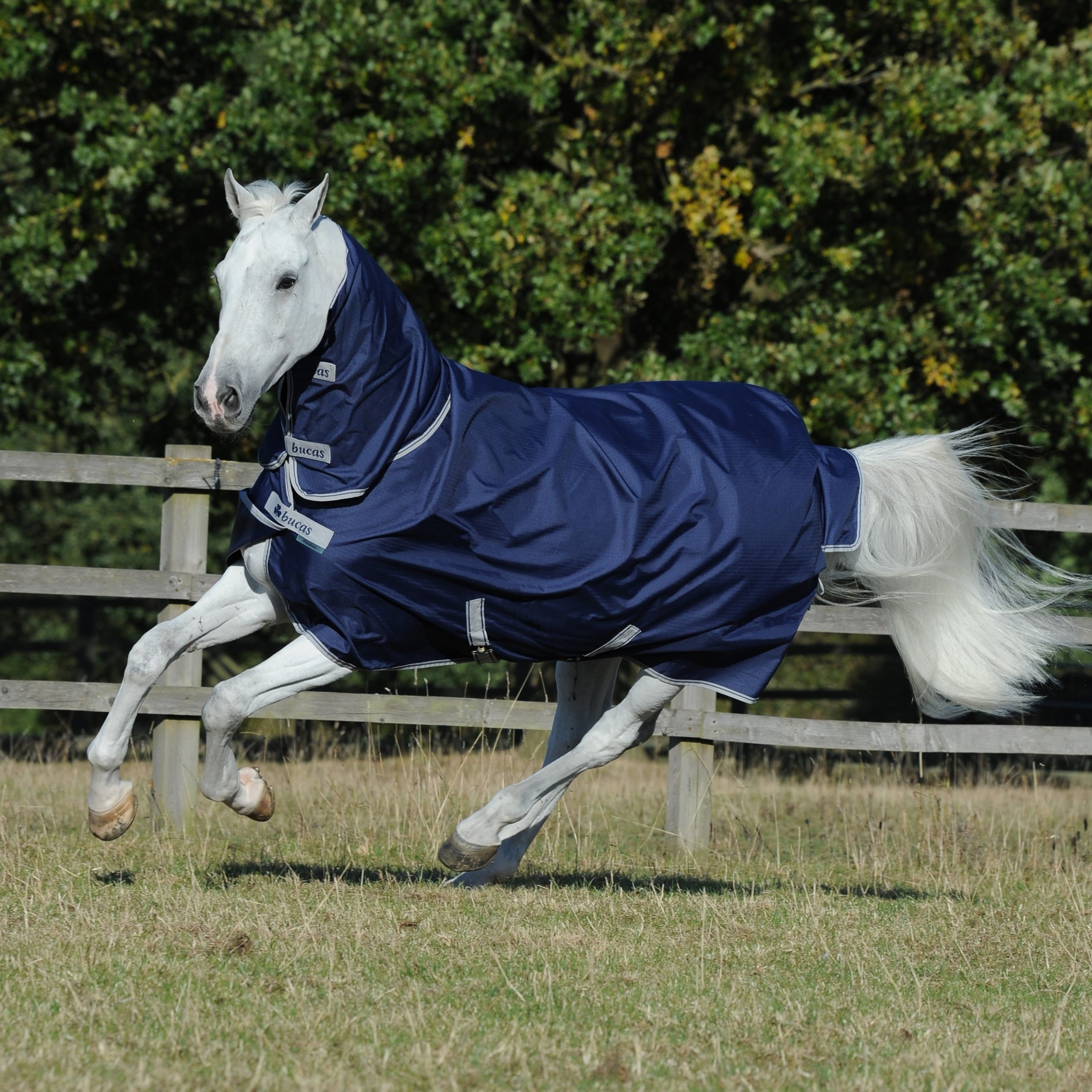 BUCAS Freedom Turnout Light Full Neck