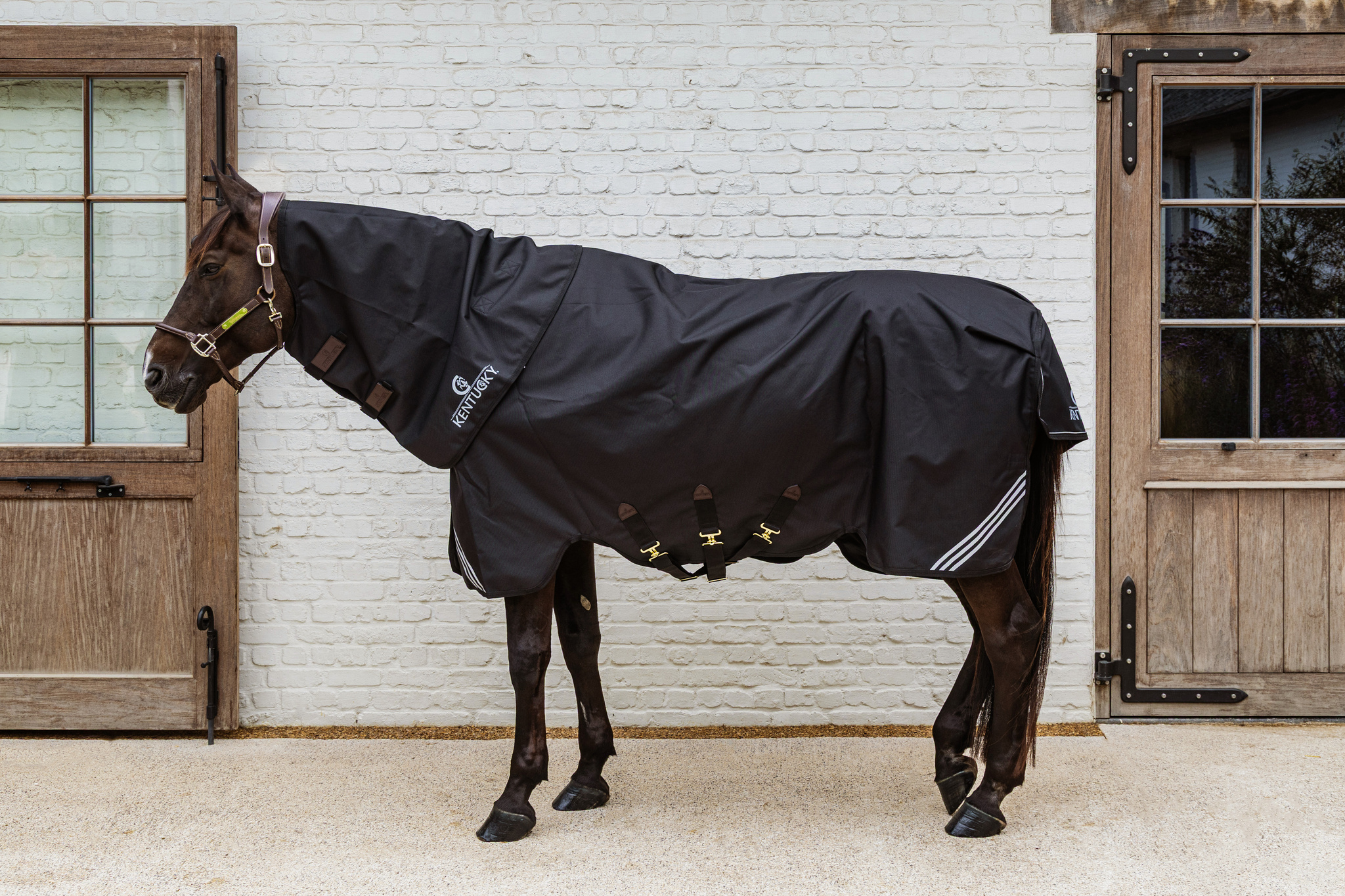 KENTUCKY® HORSEWEAR Halsteil wasserdicht All Weather Comfort 0g, schwarz Schwarzes wasserdichtes Halsteil All Weather Comfort an einem braunen Pferd in der Seitenansicht vor einer Stalltür.